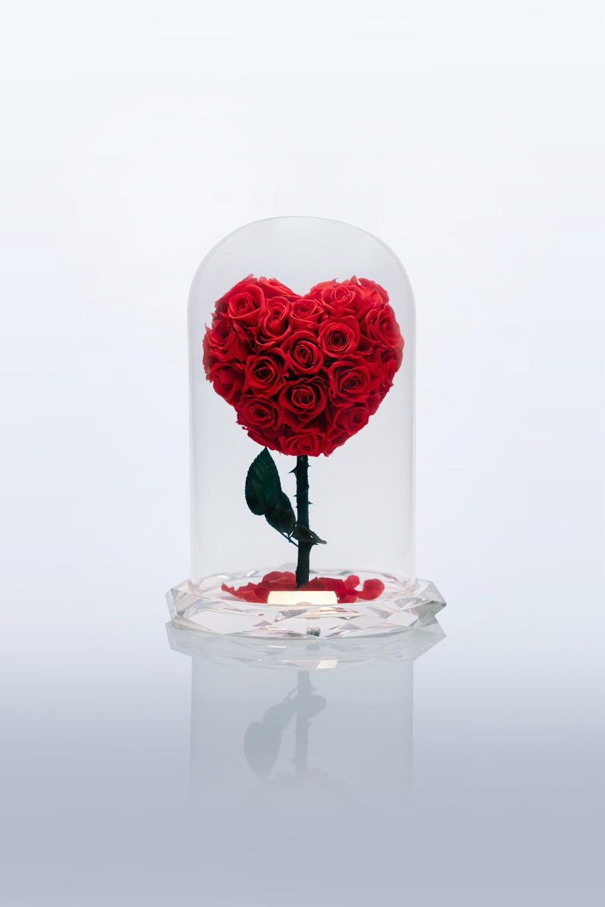 The Crystal Heart of Love