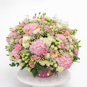 Royal Blush Grandeur – VIP Edition