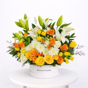 Sunset Harmony Premium Box